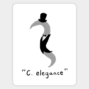 C. elegance Magnet